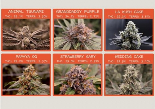 Gallery Image 638296093_849689491411003_4510656553125472862_n.jpg