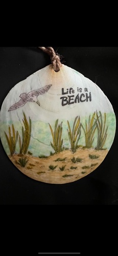 Gallery Image Lifes%20a%20beach%20shell_100826-094416.jpg