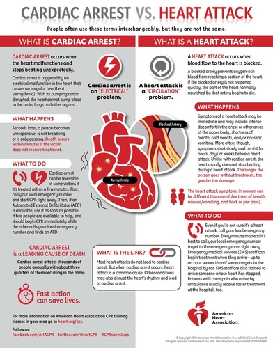 Gallery Image Cardiac-Arrest-vs-Heart-Attack-2019_1200x1529-947473ff.jpeg