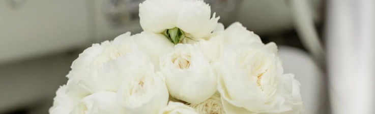 Traverse City Floral Co. Traverse City Floral Co.
