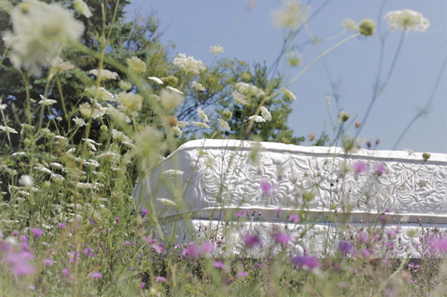Gallery Image 62173509_2600156643350742_7580887954868928512_n.png Gallery Image 62173509_2600156643350742_7580887954868928512_n.png