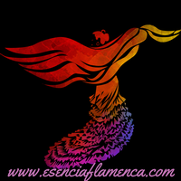 Esencia Flamenca Dance Co and School