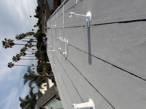 Gallery Image g1.jpg