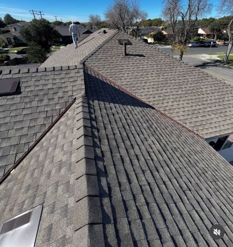 Gallery Image g11.jpg