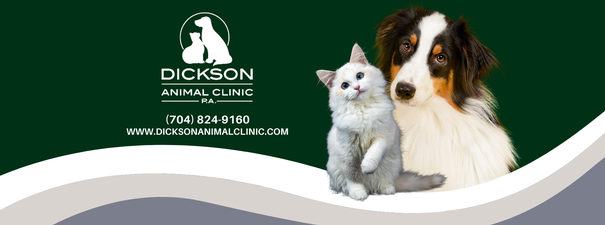 Dickson Animal Clinic