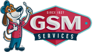 GSM Services