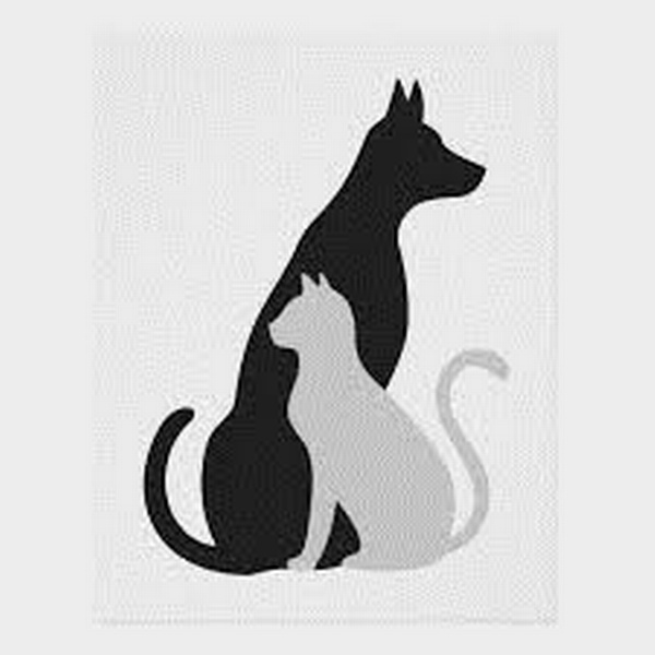 Bryan Area Animal Hospital Bryan Area Animal Hospital
