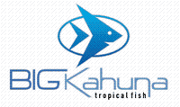 Big Kahuna Tropical Fish LLC