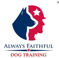 Army Dog Training Camp