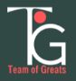 Team of Greats LLC