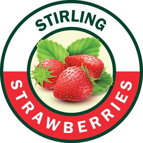 EMAIL:  stirlingstrawberries@gmail.com