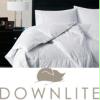 DownLite International