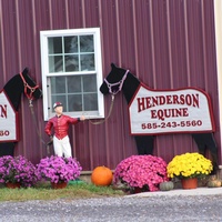 Henderson Equine Clinic