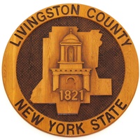 Livingston County District Attorney