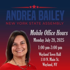 Assemblywoman Andrea Bailey Assemblywoman Andrea Bailey