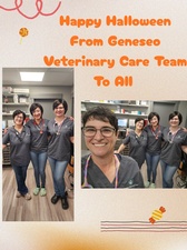 Geneseo Veterinary Care