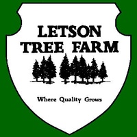 Letson Tree Farm II