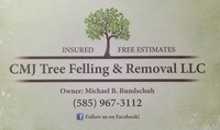 CMJ Tree Felling & Removal LLC