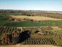 Buried Barrel Hard Cider