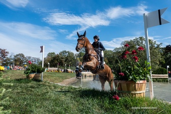 Patchwork Saddlery Patchwork Saddlery