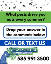 Magnum Pest Control LLC