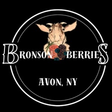 Bronson Berries Bronson Berries