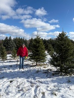 All Western Evergreen Nursery & Christmas Tree Farm