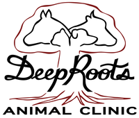 Deep Roots Animal Clinic