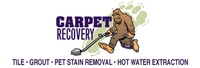 Carpet Recovery Carpet Recovery