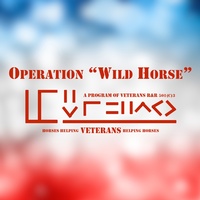 Operation Wild Horse