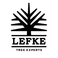 Lefke Tree Experts