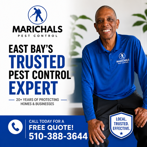 Gallery Image cockroach-exterminator-alameda-ca.jpg.png