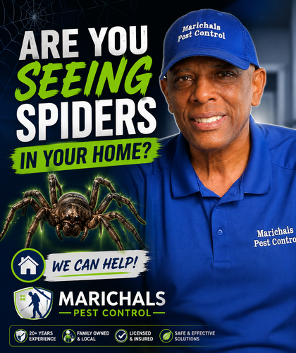 Gallery Image east-bay-pest-control-tips.jpg.png