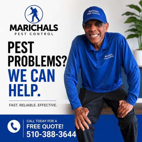 Gallery Image spider-inspection-alameda-county.jpg.png