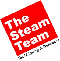 The Steam Team 