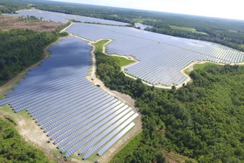 Gallery Image Live-Oak-Solar-Butler-GA-GeoPro_Blattner_LiveOak_Aerial6_09-2016-600x403.jpeg Gallery Image Live-Oak-Solar-Butler-GA-GeoPro_Blattner_LiveOak_Aerial6_09-2016-600x403.jpeg