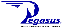 Pegasus Technologies & Solutions, Inc.