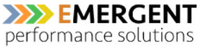 Emergent Performance Solutions