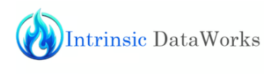 Intrinsic DataWorks LLC Intrinsic DataWorks LLC