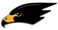 Blackhawk Aerospace Solutions Blackhawk Aerospace Solutions