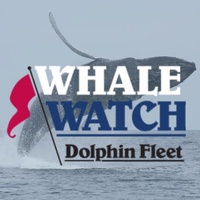 Dolphin Fleet Whale Watch