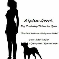 Alpha Girl Dog Behaviorist - Jill Potter