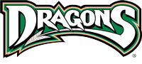 Dayton Dragons Professional Baseball