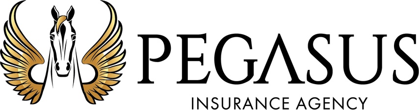 Pegasus Insurance Agency