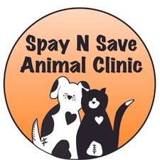 Spay N Save Animal Clinic