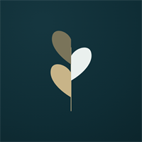 Burgeon Consulting