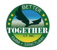 Better Together CT, Inc.