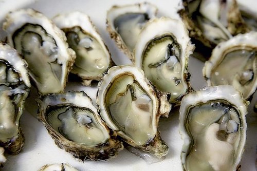 Gallery Image oysters-southeastern-ct.jpg