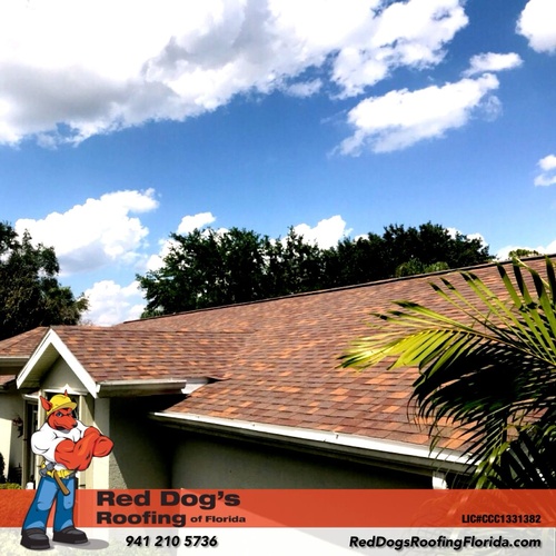 Gallery Image Red%20Dogs%20Roofing%20picture%203.jpg