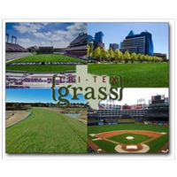 Tri-Tex Grass